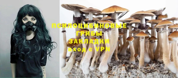 марки nbome Аркадак