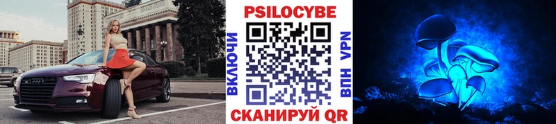 Галлюциногенные грибы прущие грибы  наркотики  Правдинск 